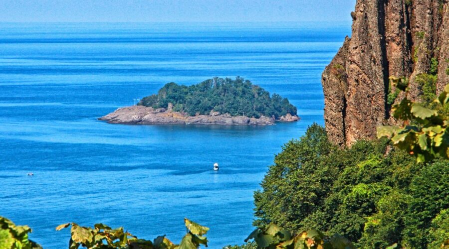 Giresun Canlı Mobese İzle 7-24